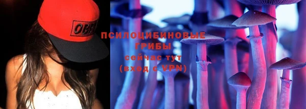 дживик Абаза