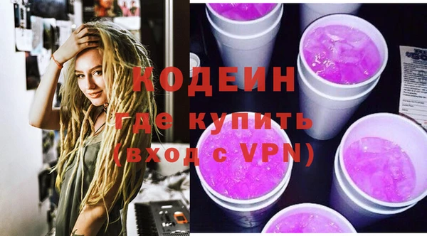дживик Абаза