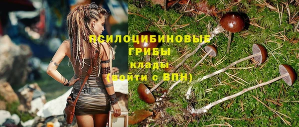 прущие крисы Абинск