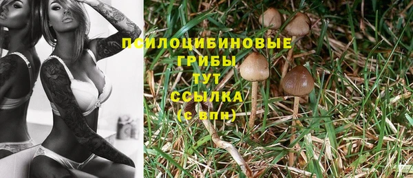 ешки Алзамай