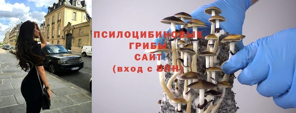 ешки Алзамай