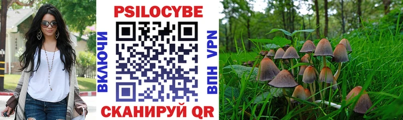 Псилоцибиновые грибы мухоморы  купить наркотик  маркетплейс как зайти  Избербаш  кракен tor 